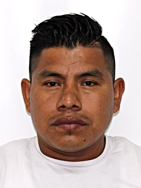 Aniceto